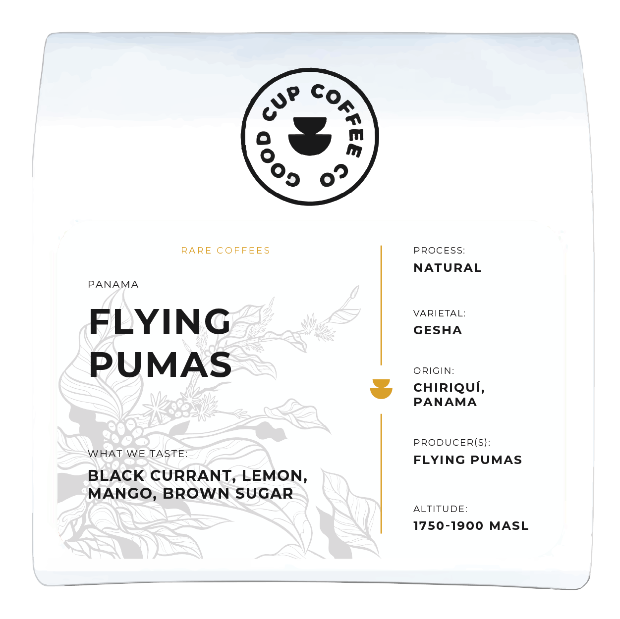 Panama Flying Pumas