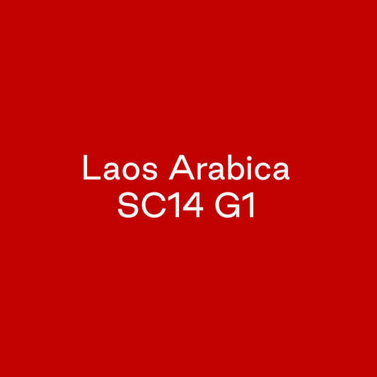 GCB Laos Arabica SC14 G1