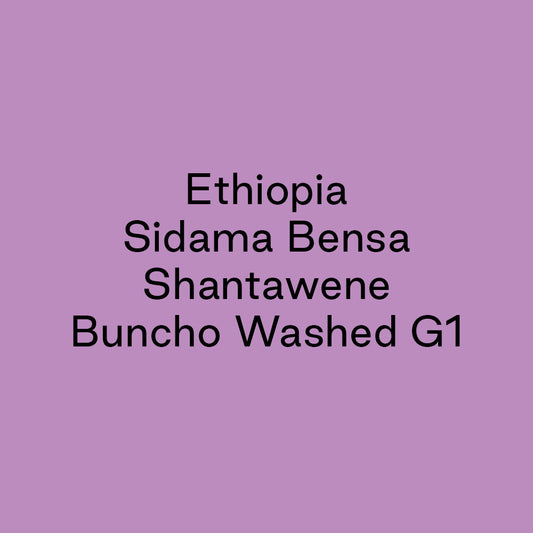 GCB Ethiopia Sidama Bensa Shantawene Buncho Washed G1