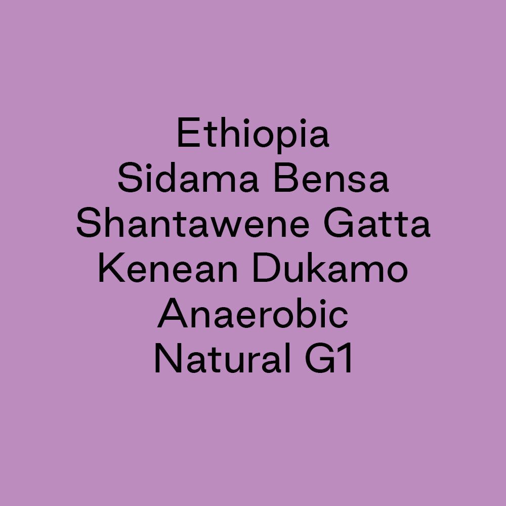 GCB Ethiopia Sidama Bensa Shantawene Gatta Kenean Dukamo Anaerobic Natural G1