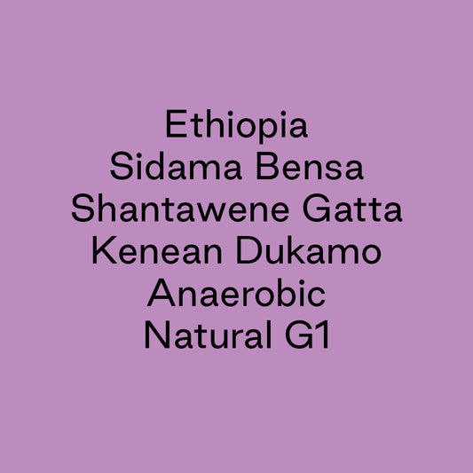 GCB Ethiopia Sidama Bensa Shantawene Gatta Kenean Dukamo Anaerobic Natural G1