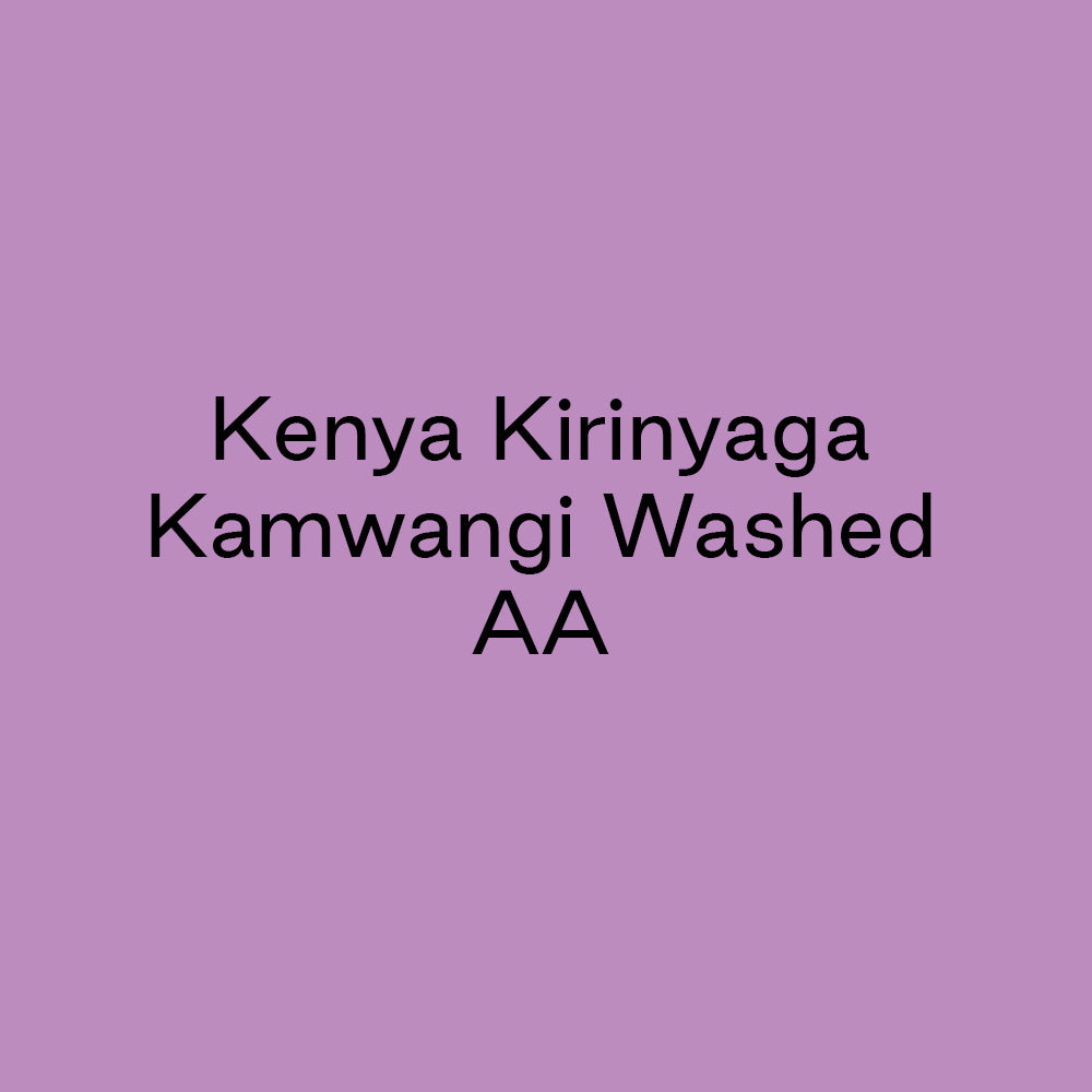 GCB Kenya Kirinyaga Kamwangi Washed AA