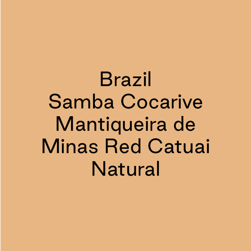 GCB Samba Cocarive Mantiqueira de Minas Red Catuai Natural