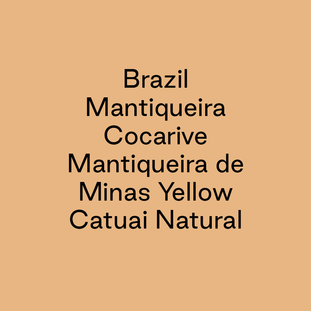 GCB Brazil Mantiqueira Cocarive Yellow Catuai Natural