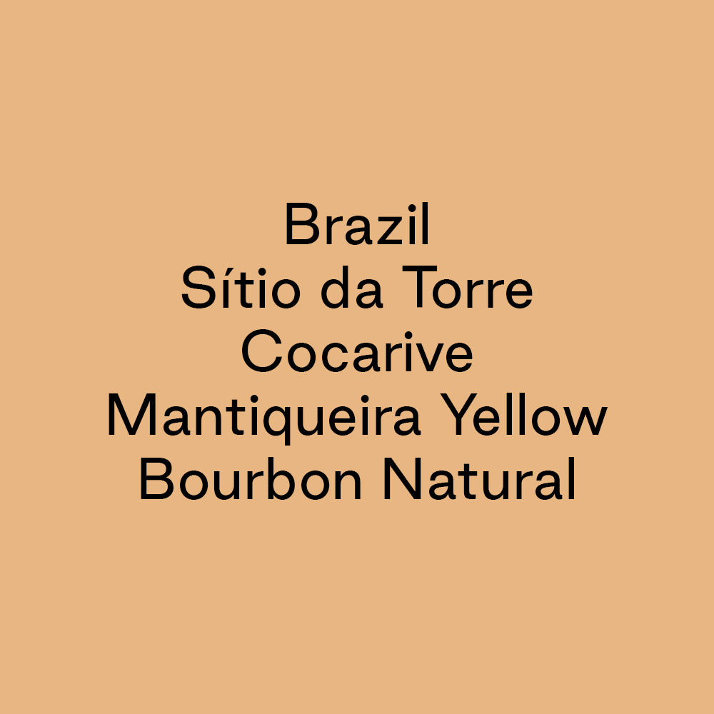 GCB Brazil Sitio da Torre Cocarive Mantiqueira Yellow Bourbon Natural