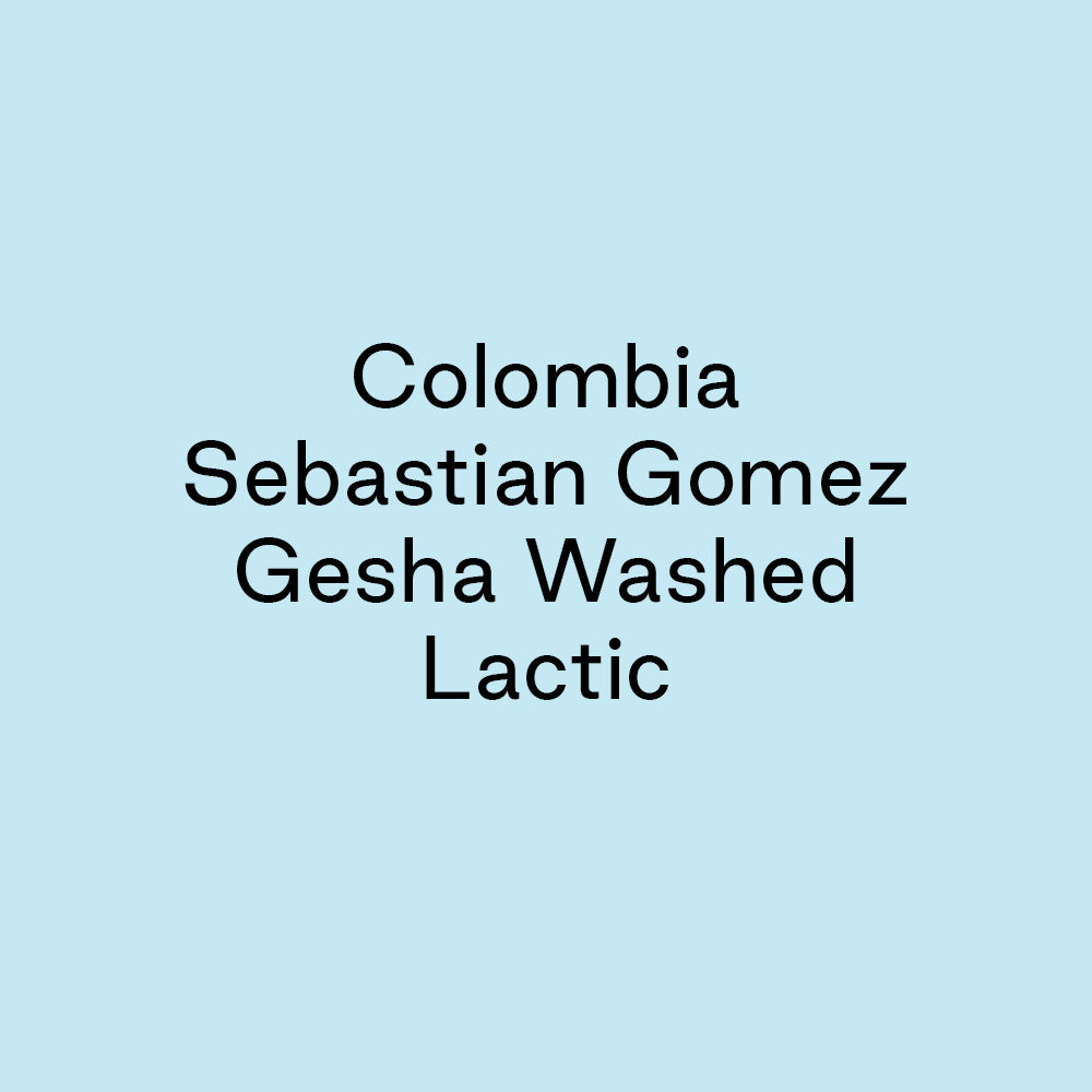 GCB Colombia Sebastian Gomez Gesha Washed Lactic