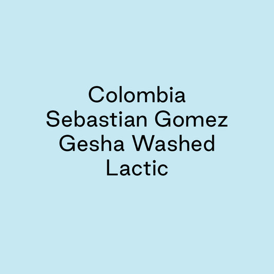 GCB Colombia Sebastian Gomez Gesha Washed Lactic