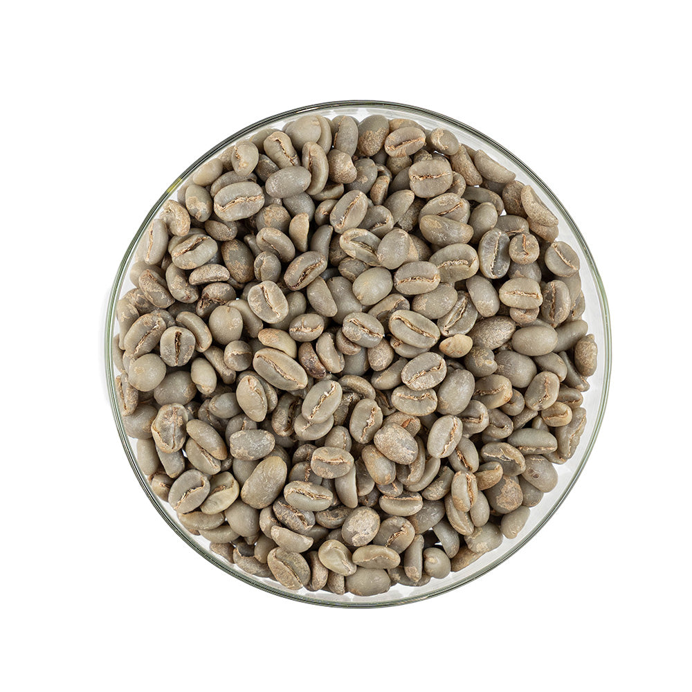 GCB Brazil Arabica Cerrado Screen 17/18