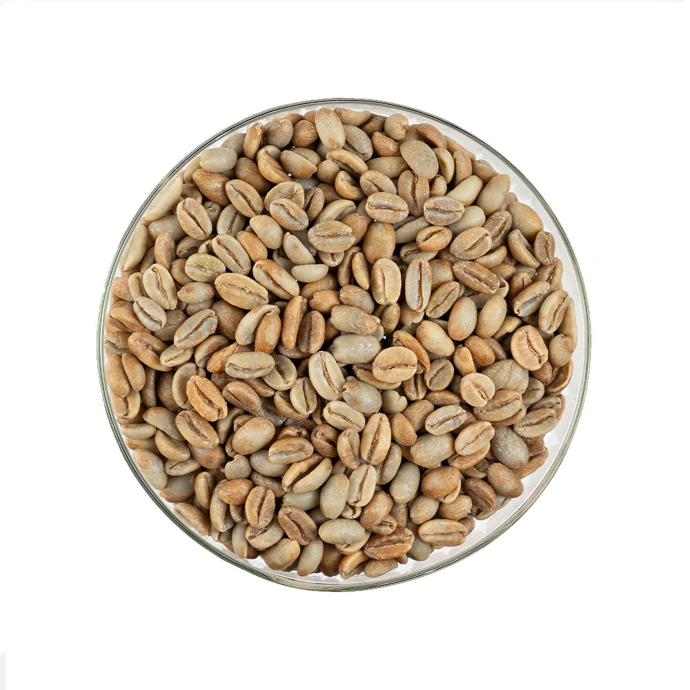 GCB Philippines RCQC Top 1 Henry Janubas BMPC Typica Natural