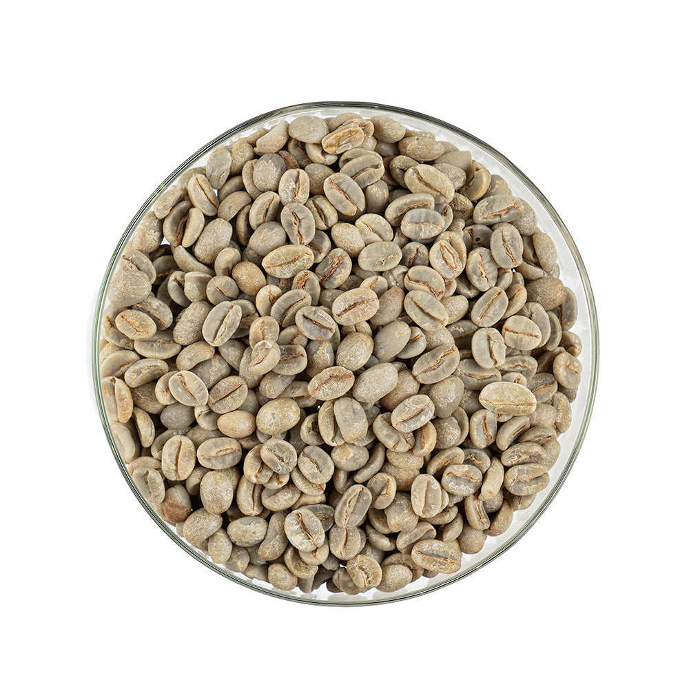 GCB Brazil Fazenda Capim Seco Carmo de Minas Acaia Natural