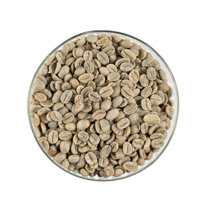 GCB Brazil Fazenda Capim Seco Carmo de Minas Acaia Natural