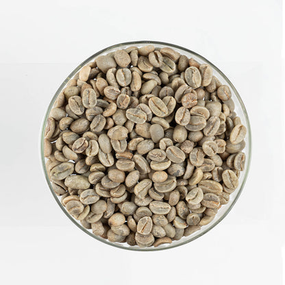 GCB Colombia Popayan Reserve Mix Washed