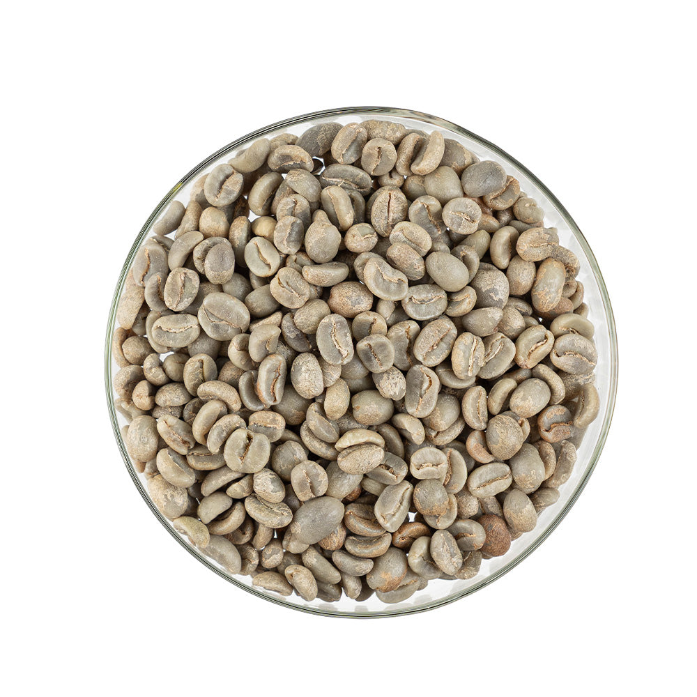 GCB Colombia San Vicente Castillo Washed
