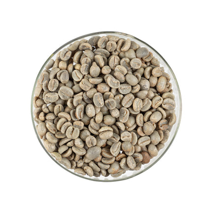 GCB Colombia San Vicente Castillo Washed