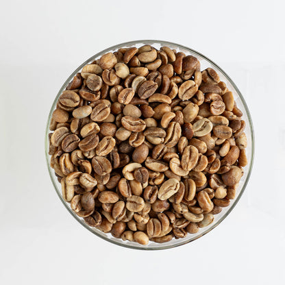 GCB Colombia Jairo Arcilla Honey / Peach
