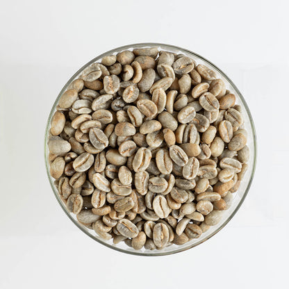 GCB Colombia Paola Trujilio Typica Washed