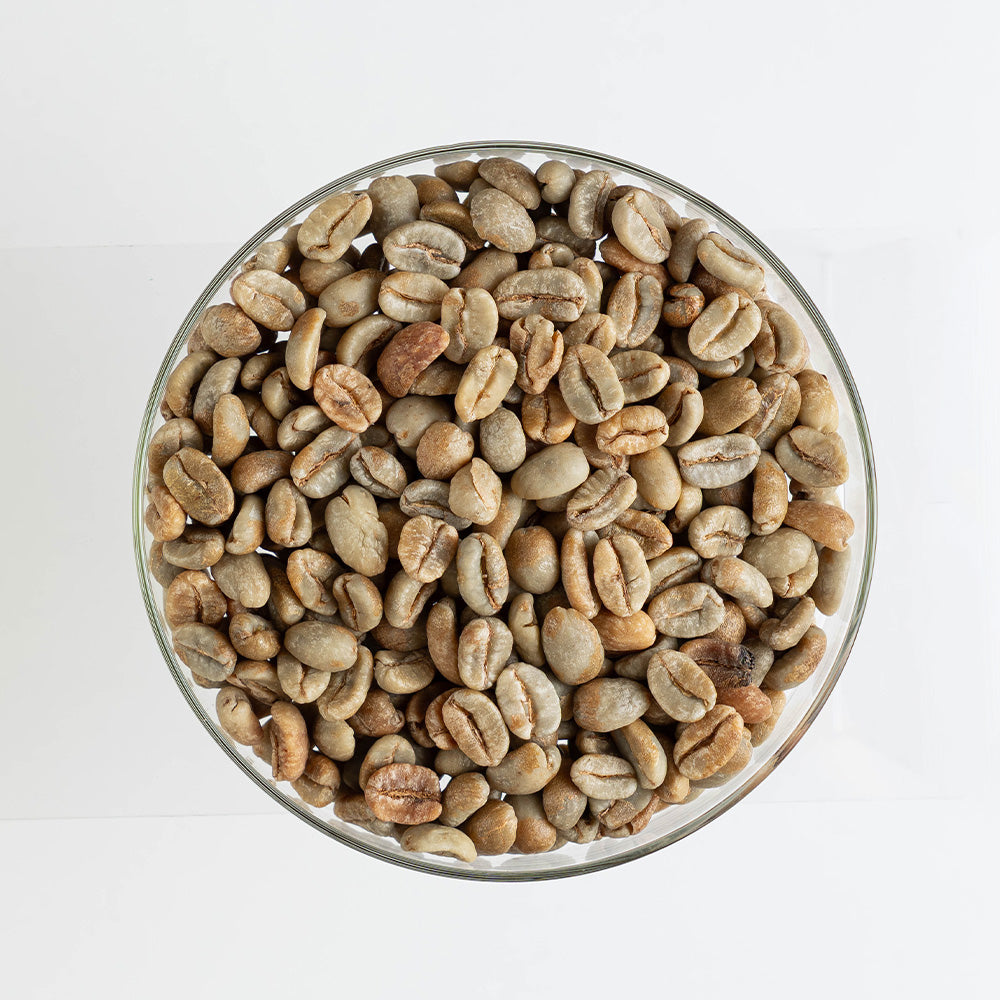 GCB Colombia Jairo Arcila Papayo Natural Lactic