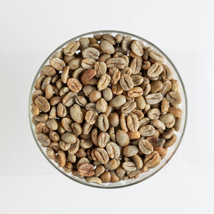 GCB Colombia Jairo Arcila Papayo Natural Lactic